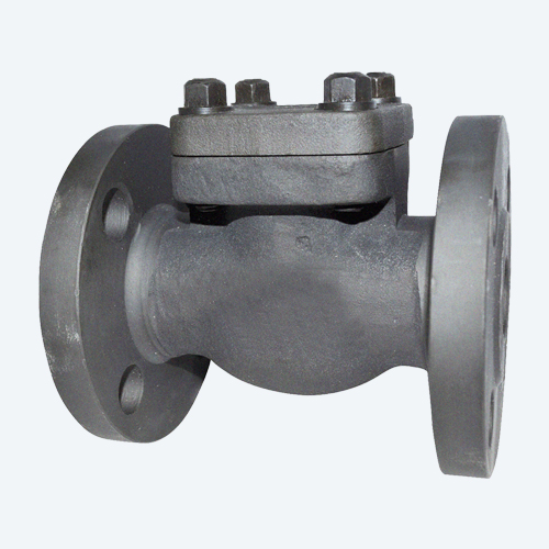 Forged NRV Valve