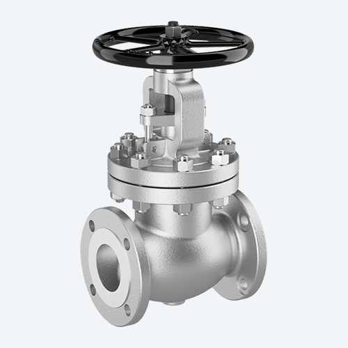 Globe Valve - 600 class