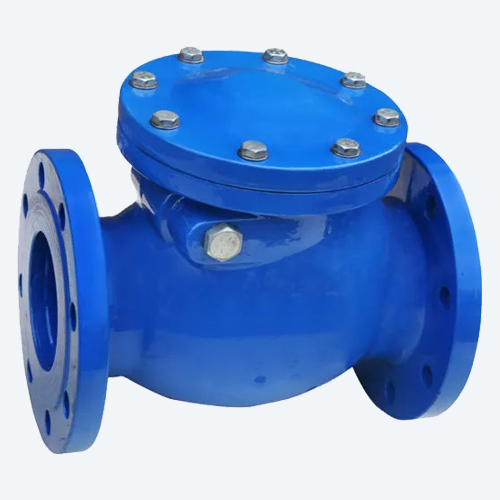 swing check valve - 300 class