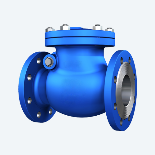 Swing Check Valve